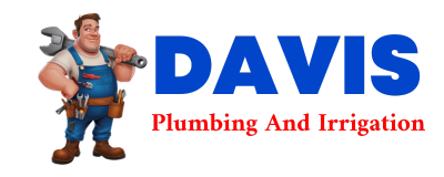 Trusted plumber in REYNOLDS